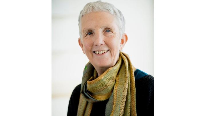 A photograph of author Ann Cleeves